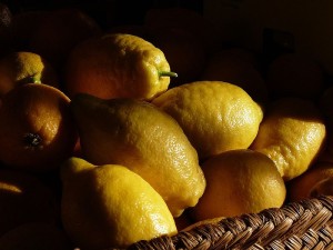 800px-Lemons_pribyl2