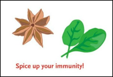 spice herb immunity blend