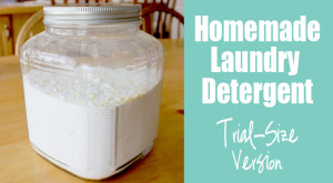 trial-size-homemade-detergent-9b