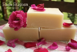Rosa Rugosa Soap Recipe