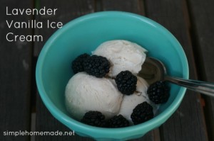 zzlavender-vanilla-ice-cream