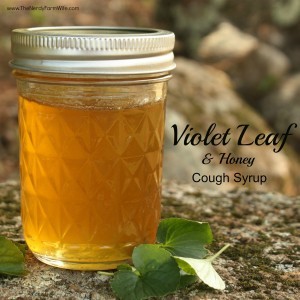 zzzzzzViolet-Leaf-Honey-Cough-Syrup1-300x300