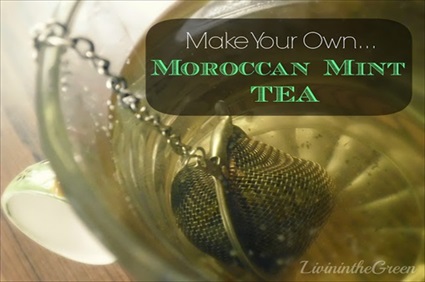Make Your Own Moroccan Mint Tea 