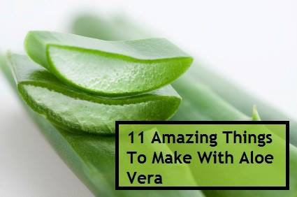 1111 Ways to Use Aloe Vera