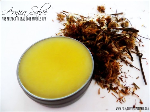 How to Make Arnica Salve: The Perfect Herbal Sore Muscle Rub