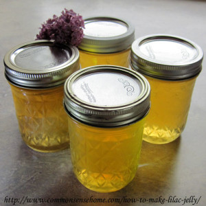 lilac-jelly-jars