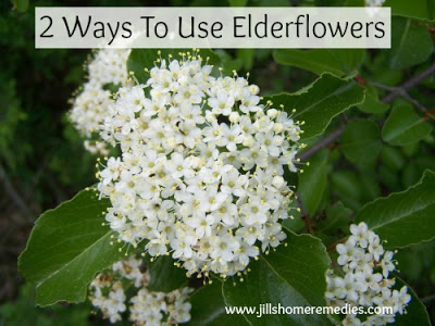 Two Simple and Effective Ways to Use Elderflowers