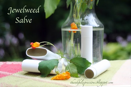 How to Make Jewelweed Salve for Poison Ivy & Skin Rashes