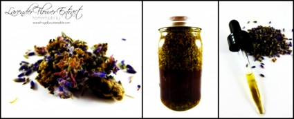 How to Make and Use Lavender Flower Extract