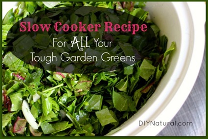 Tasty Recipe For All Your Tough Garden Greens