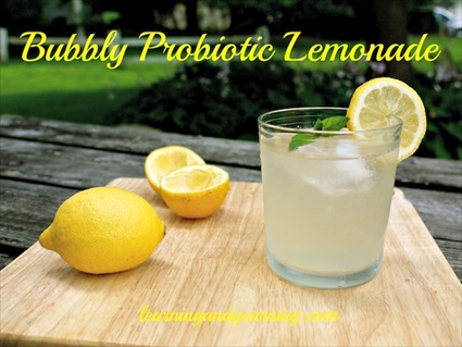 Homemade Bubbly Probiotic Lemonade Recipe