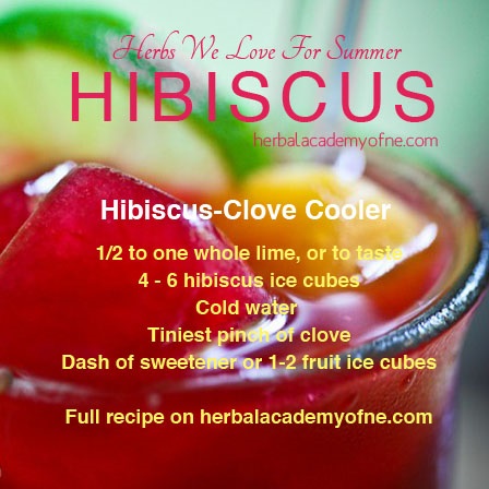 Homemade Hibiscus-Clover Cooler