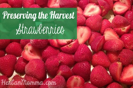 Quick Way to Preserve Strawberries