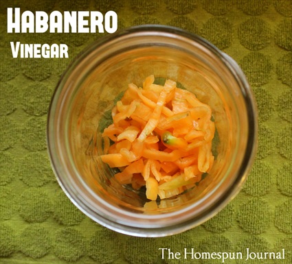 How to Make Spicy Habanero Vinegar