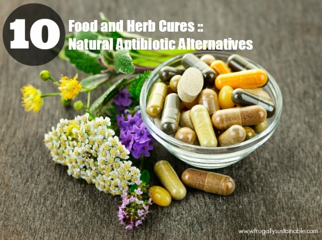  http://frugallysustainable.com/2013/08/food-and-herb-cures-10-natural-antibiotic-alternatives/
