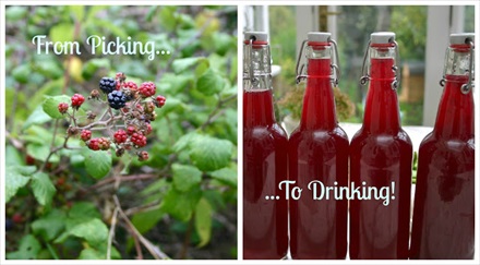 How To Made Wild Blackberry Cider