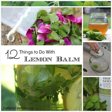  12 Things to Do With Lemon Balm