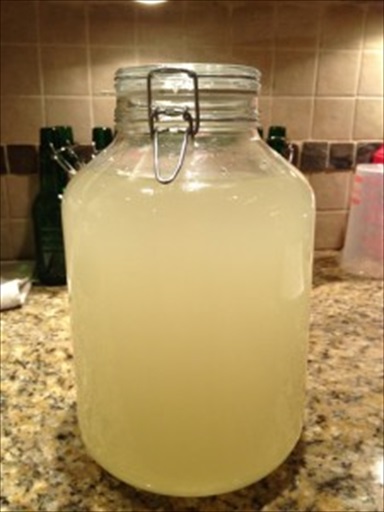 probiotic lemonade