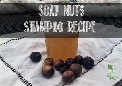 Soap Nuts Shampoo