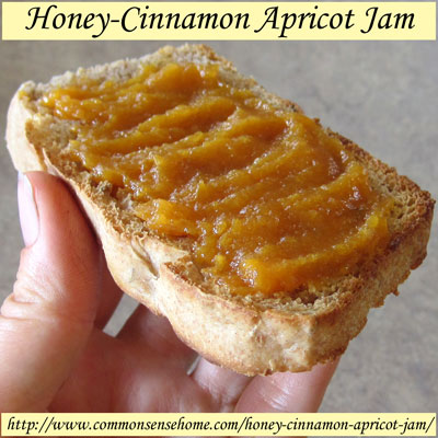 Homemade Honey-Cinnamon Apricot Jam Recipe