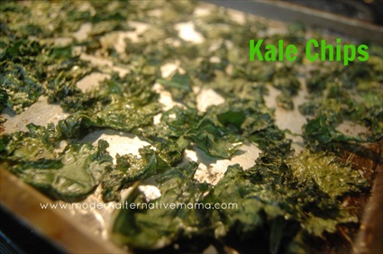 Baked Kale Bacon Chips Recipe