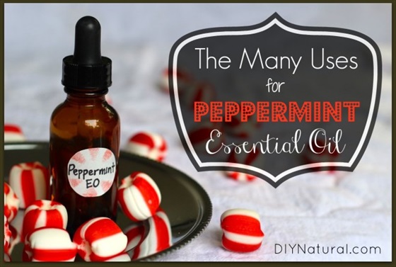 15 Great Uses for Peppermint Essential Oil