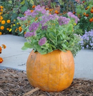 Five Easy Fall Container Ideas 