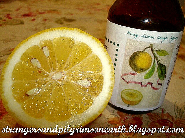 Simple Homemade Honey Lemon Cough Syrup Recipe