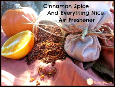 How to Make a Natural Cinnamon Spice Air Freshener
