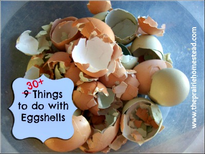 30+ Things to Do with Eggshells