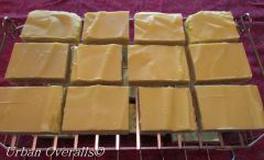 Yes You Can! Make Soap at Home