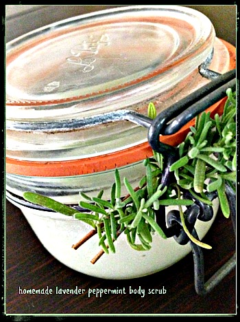 Homemade Lavender Peppermint Body Scrub Recipe