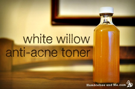 How to Make a White Willow Bark Anti-Acne Toner