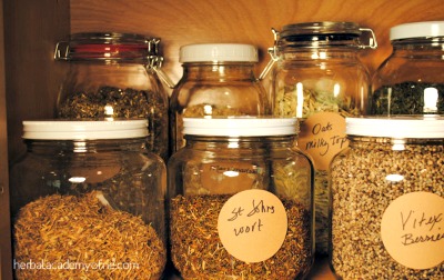 Can You Really Become A Certified Herbalist?