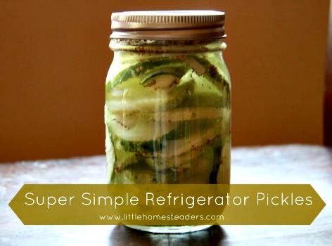 How to Make Super Simple Refrigerator Pickles