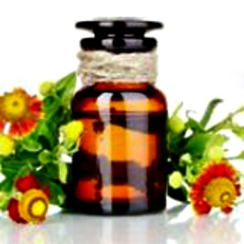 herbs and oils hub weekly summary