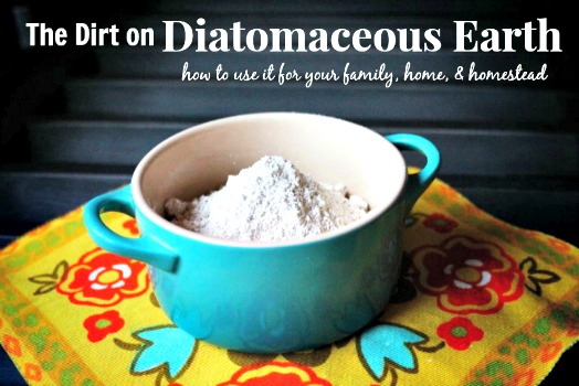 Diatomaceous Earth for your Family, Home, and Homestead