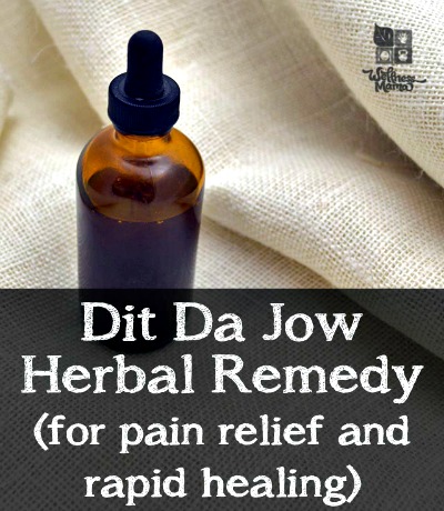 How to Make Dit Da Jow – an Herbal Remedy for Pain 