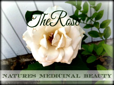 How to Grow Roses for Medicinal Use