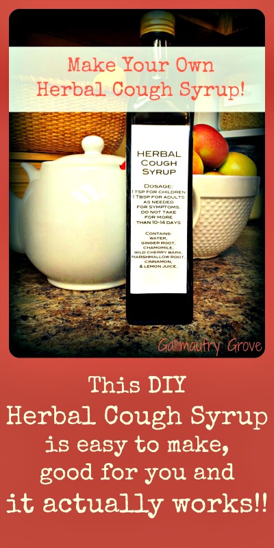 DIY Herbal Cough Syrup Recipe