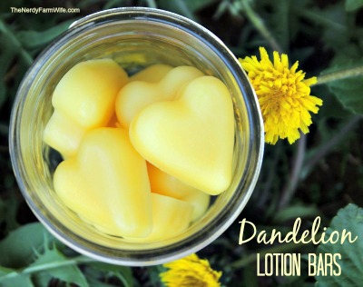 Homemade Dandelion Lotion Bar Recipe