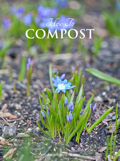 How to Compost: Getting Started Guide