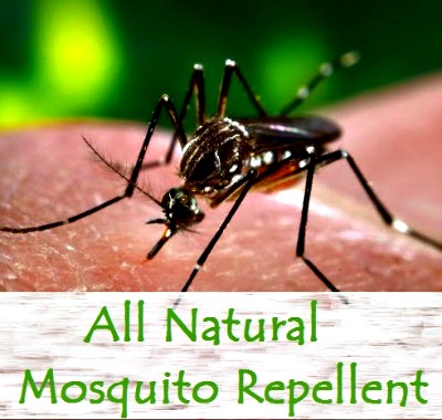 All Natural Essential Oil Mosquito Repellent Recipe