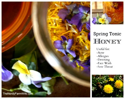 Homemade Spring Tonic Honey Recipe