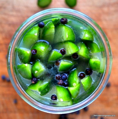 How to Make Gin and Tonic Refrigerator Pickles 