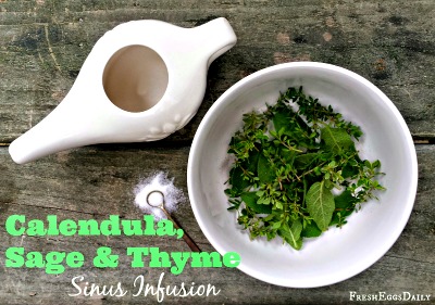 How to Make an Herbal Sinus Infusion using Calendula, Sage, and Thyme 