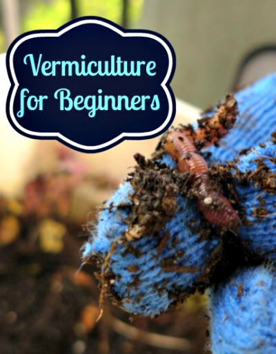 Introduction to  Vermiculture - Using Worms For Composting