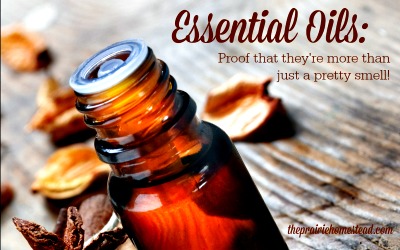 More Than Just a Pretty Smell: The Proven Health Benefits of Essential Oils 