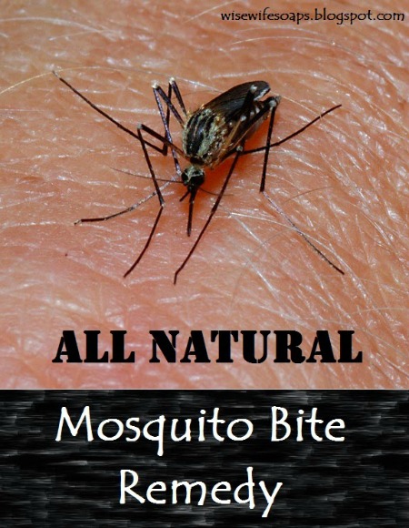 How to Make All-Natural Mosquito Bite Remedy 