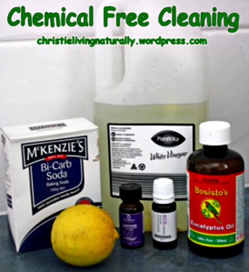 Some Basics for Chemical Free Cleaning